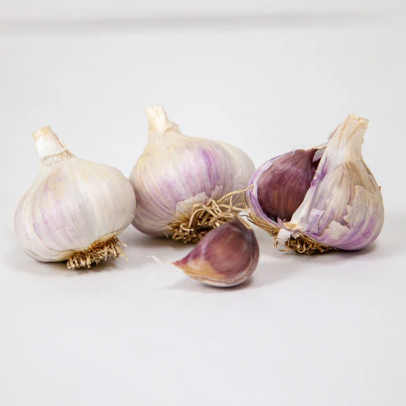 Organic German White Garlic (lb)