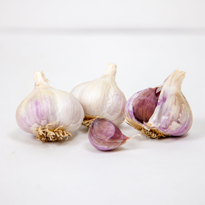 Organic German White Garlic (lb)