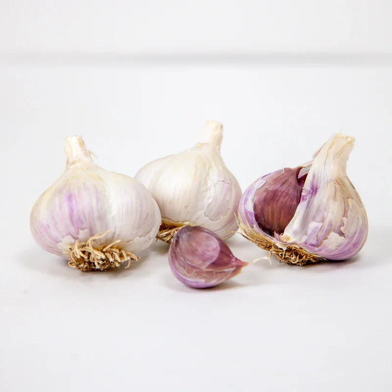 Organic German White Garlic (lb)