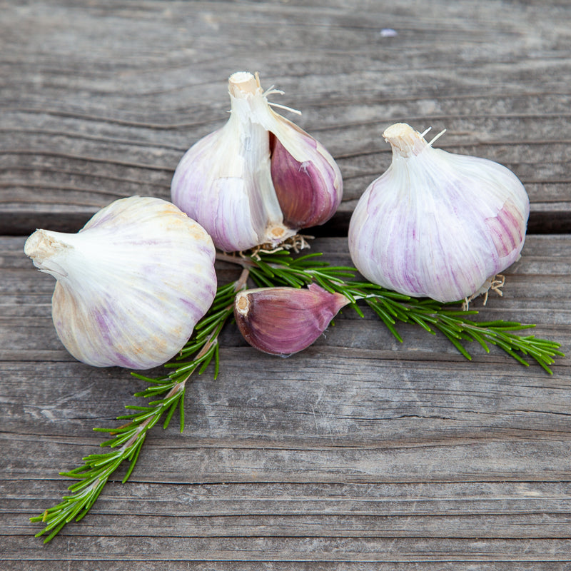 Organic German Xtra Hardy Garlic (Lb)