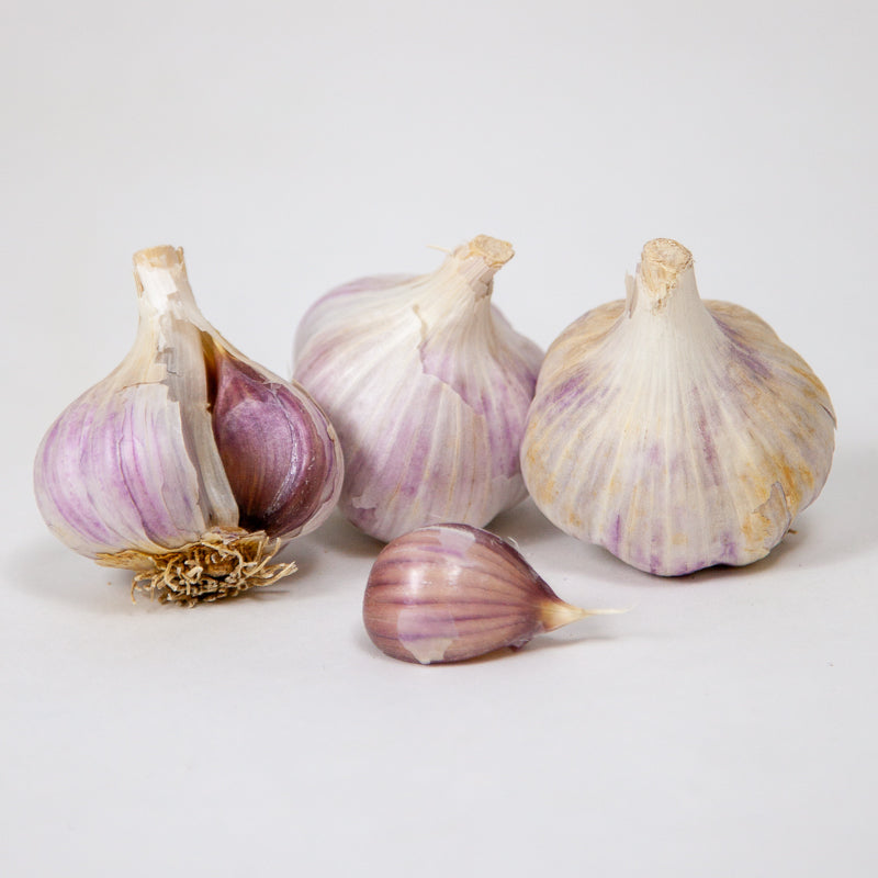 Organic German Xtra Hardy Garlic (Lb)