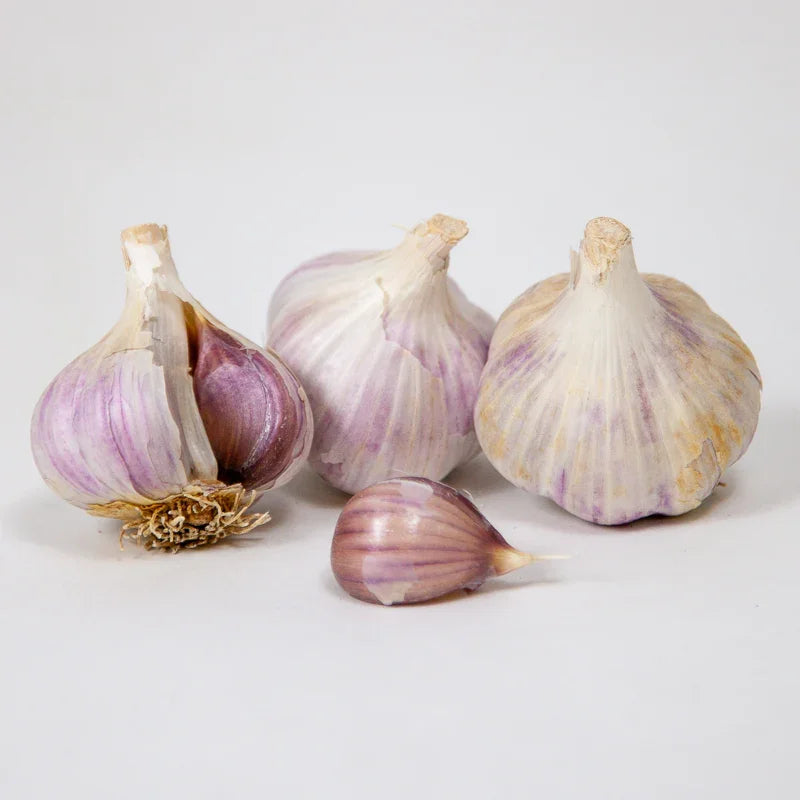 Organic German Xtra Hardy Garlic (Lb)