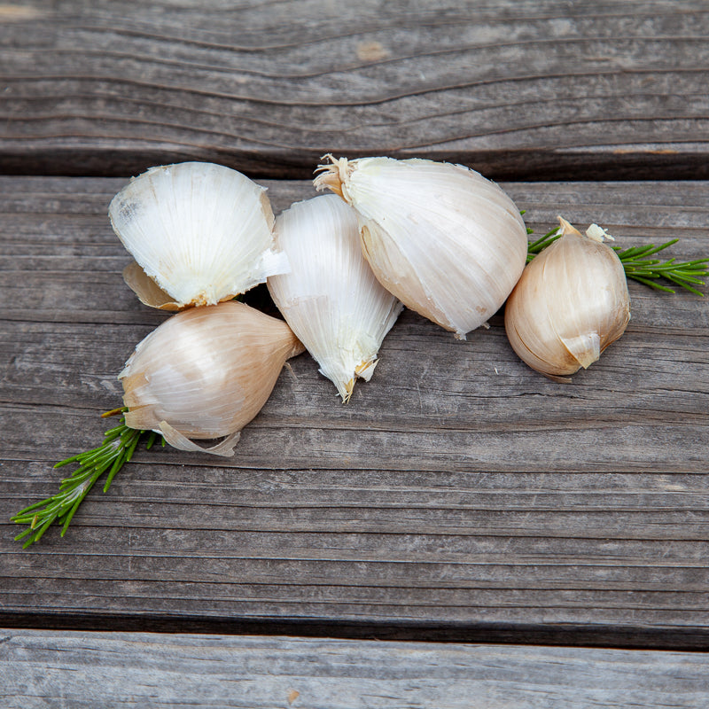 Elephant Garlic (Lb)