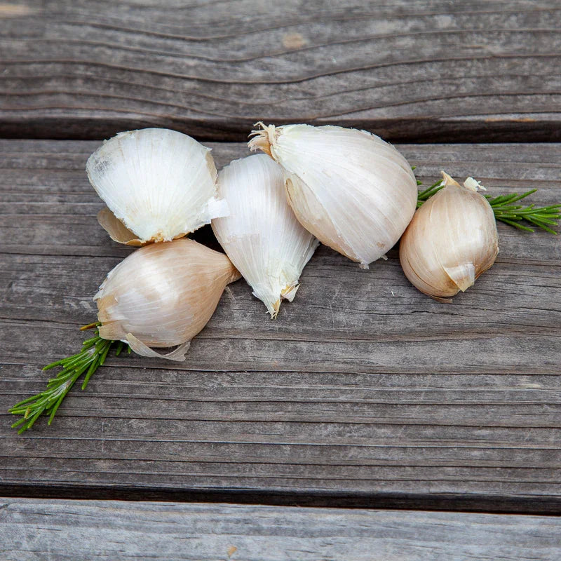 Elephant Garlic (Lb)