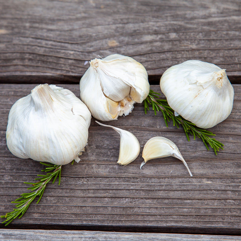 California Early White Garlic (Lb)