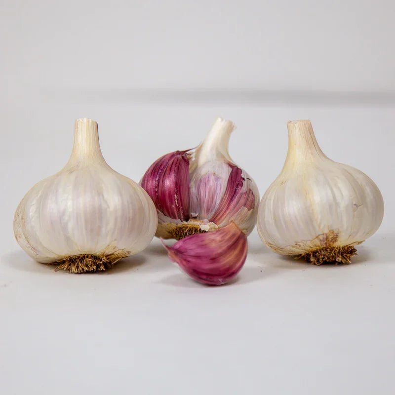 Spanish Roja Garlic (lb)