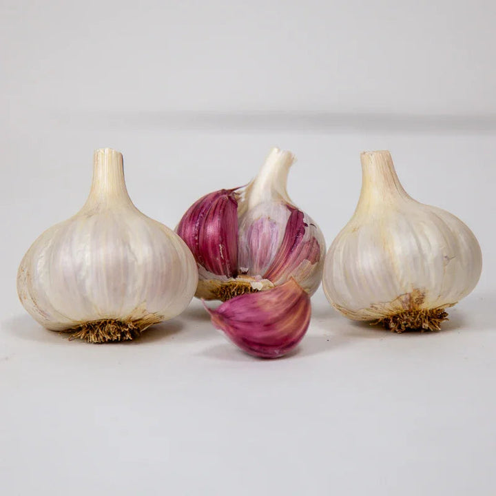 Spanish Roja Garlic (lb)