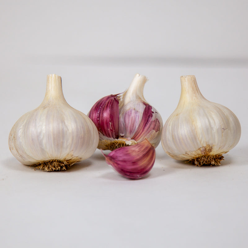 Spanish Roja Garlic (Lb)