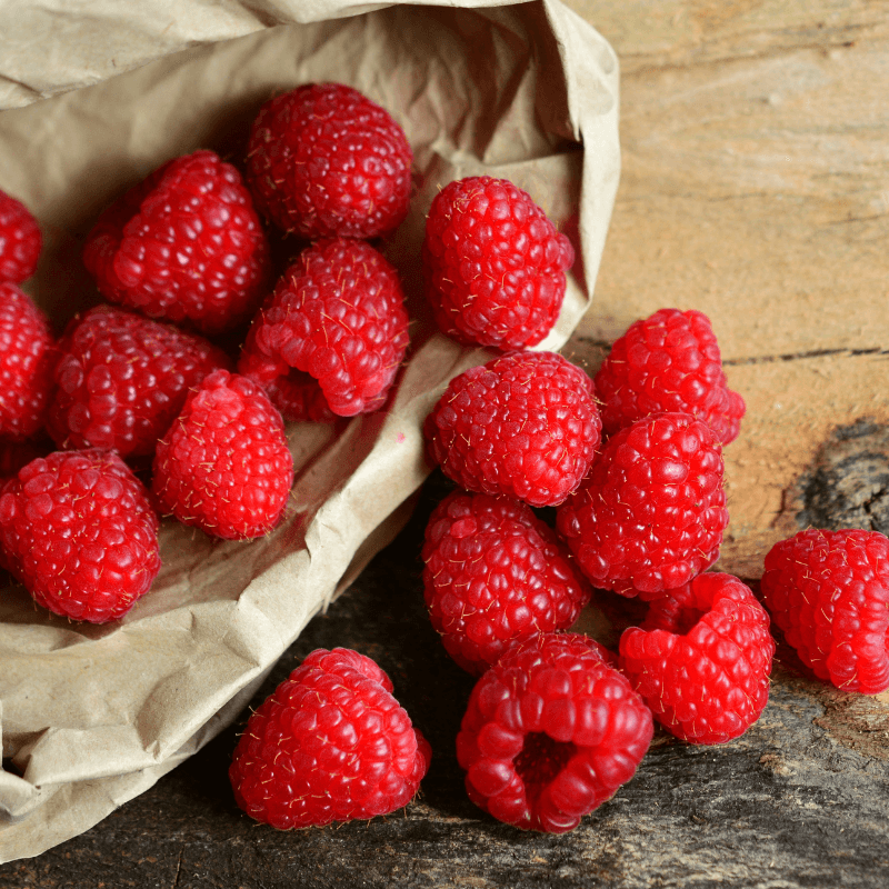 Raspberry Shortcake
