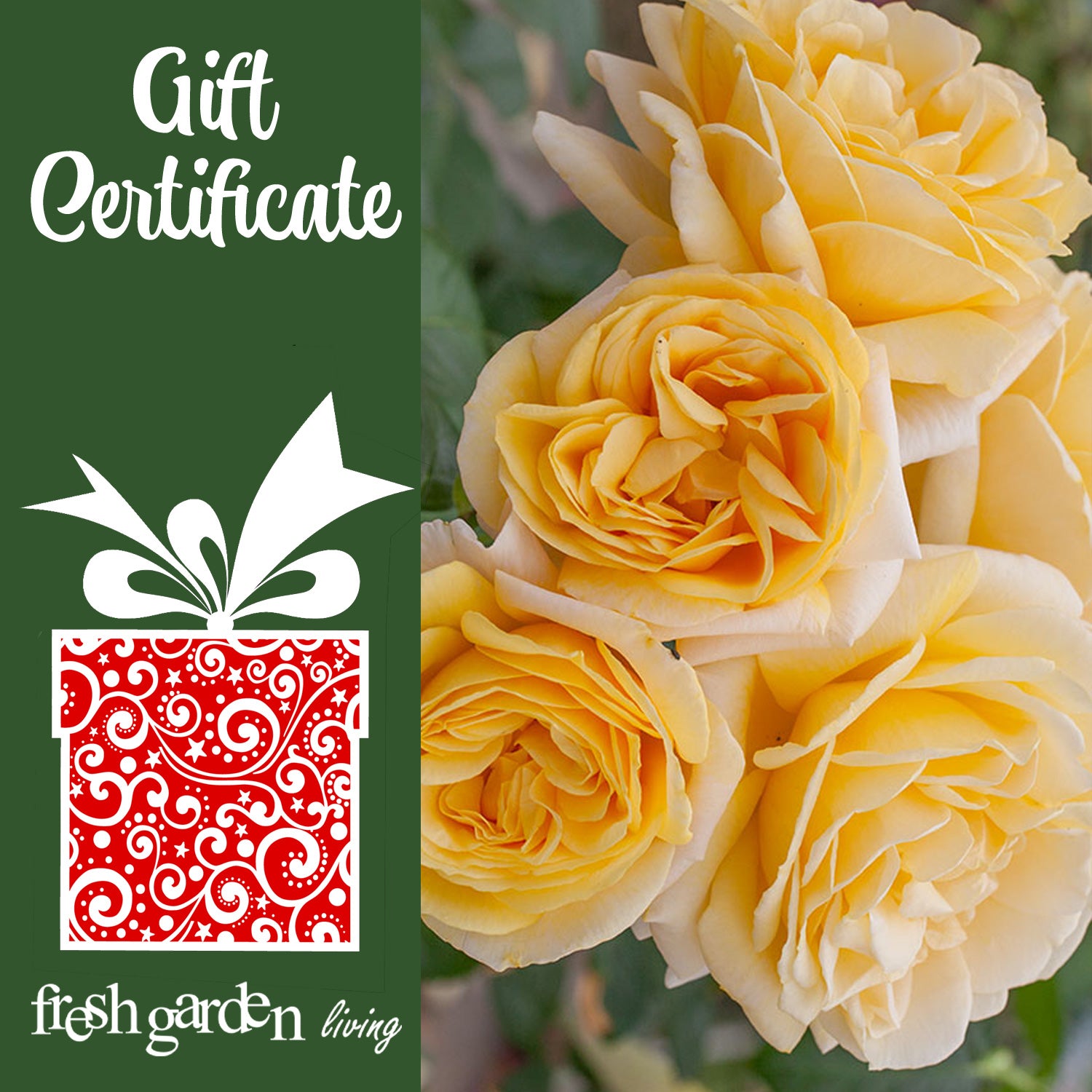 Give a Gift Card from Fresh Garden Living