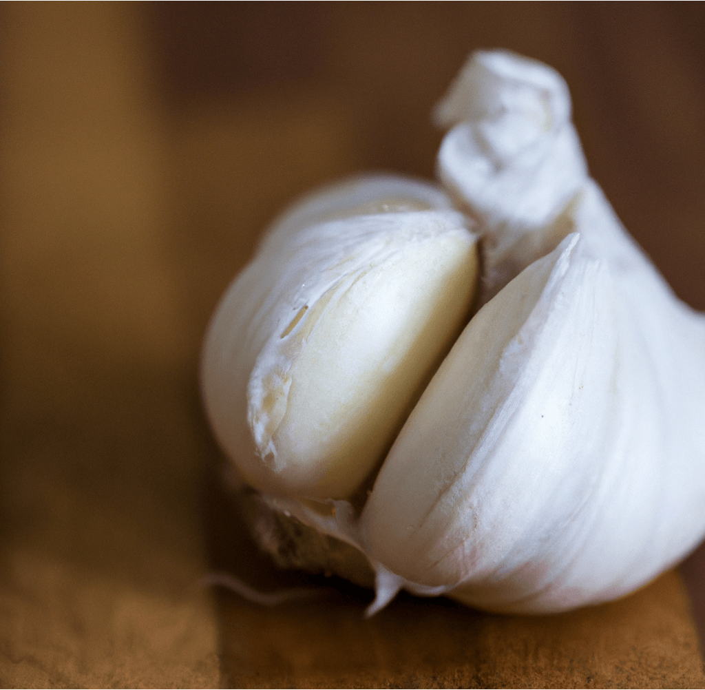 Organic German Xtra Hardy Garlic (Lb)