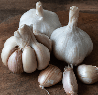 Organic German White Garlic (lb)