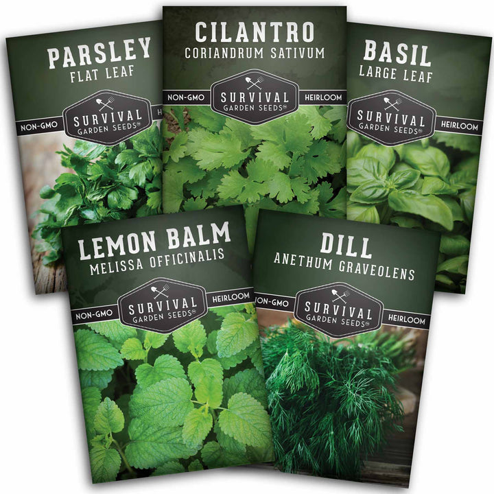 Herb Seeds Variety Pack – 5 Essential Culinary Herbs for Indoor or Outdoor Growing (Basil, Cilantro, Dill, Parsley &amp; Lemon Balm) – Heirloom Non-GMO Garden Starter Kit