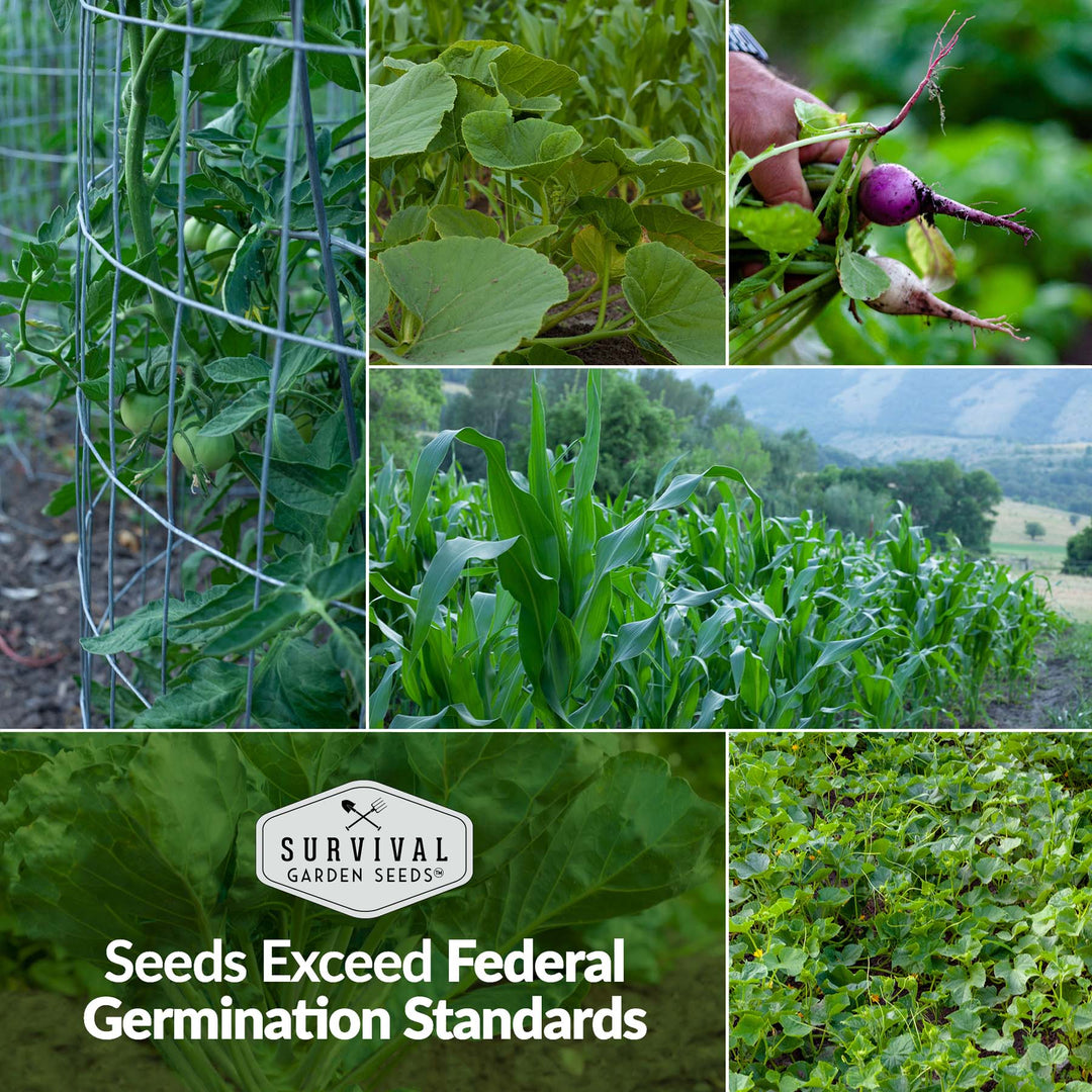 Family Home Garden Heirloom Seed Kit – 30 Non-GMO Varieties