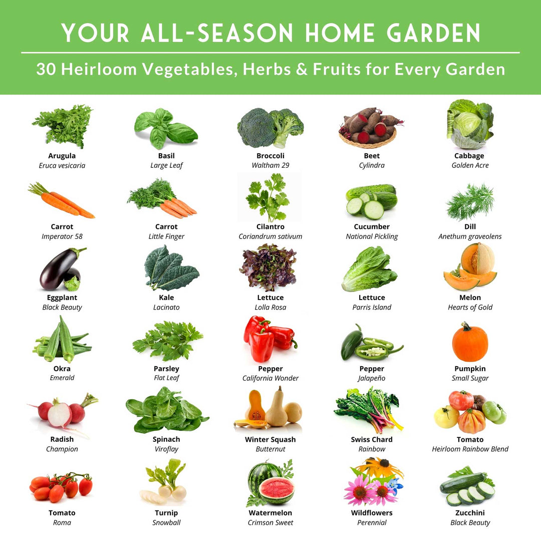 Family Home Garden Heirloom Seed Kit – 30 Non-GMO Varieties