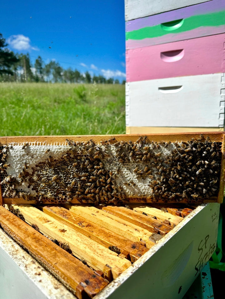 Honey Tasting Flight