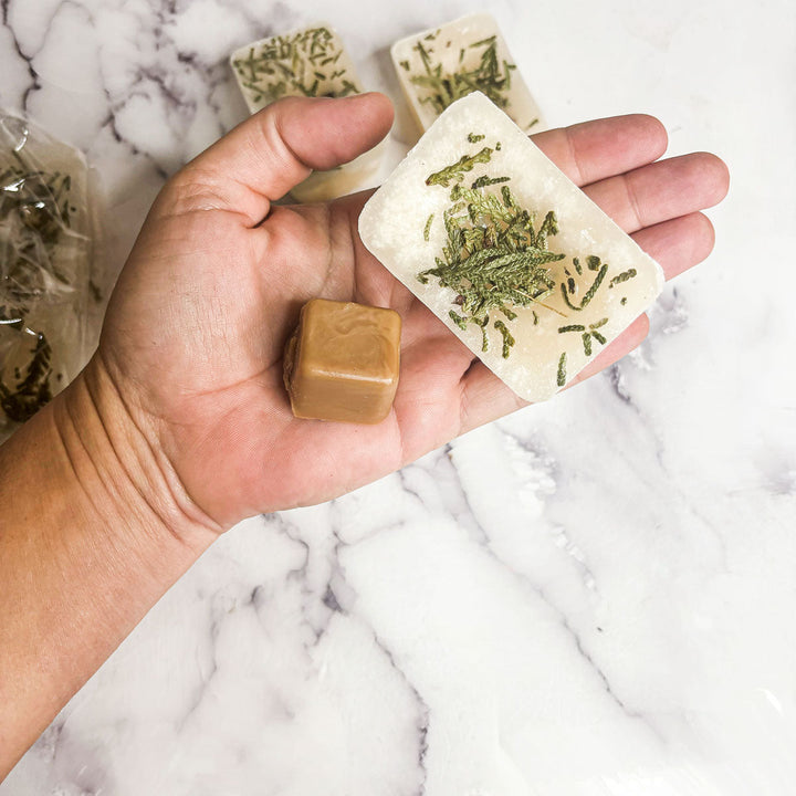 Christmas Tree XL Scented Wax Melts Holiday Home Fragrance Fun Gift for Friends