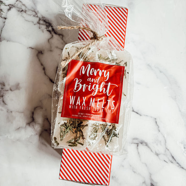 Christmas Tree XL Scented Wax Melts Holiday Home Fragrance Fun Gift for Friends