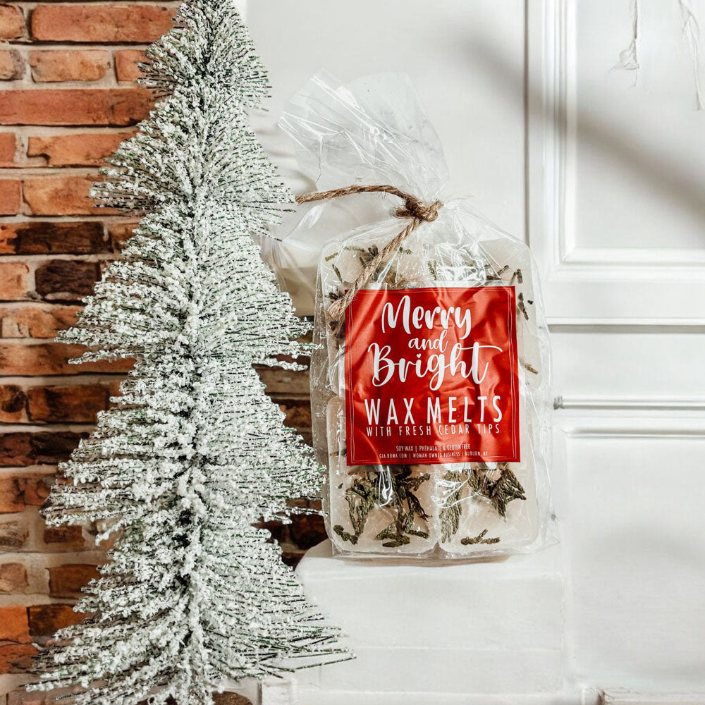 Christmas Tree XL Scented Wax Melts Holiday Home Fragrance Fun Gift for Friends