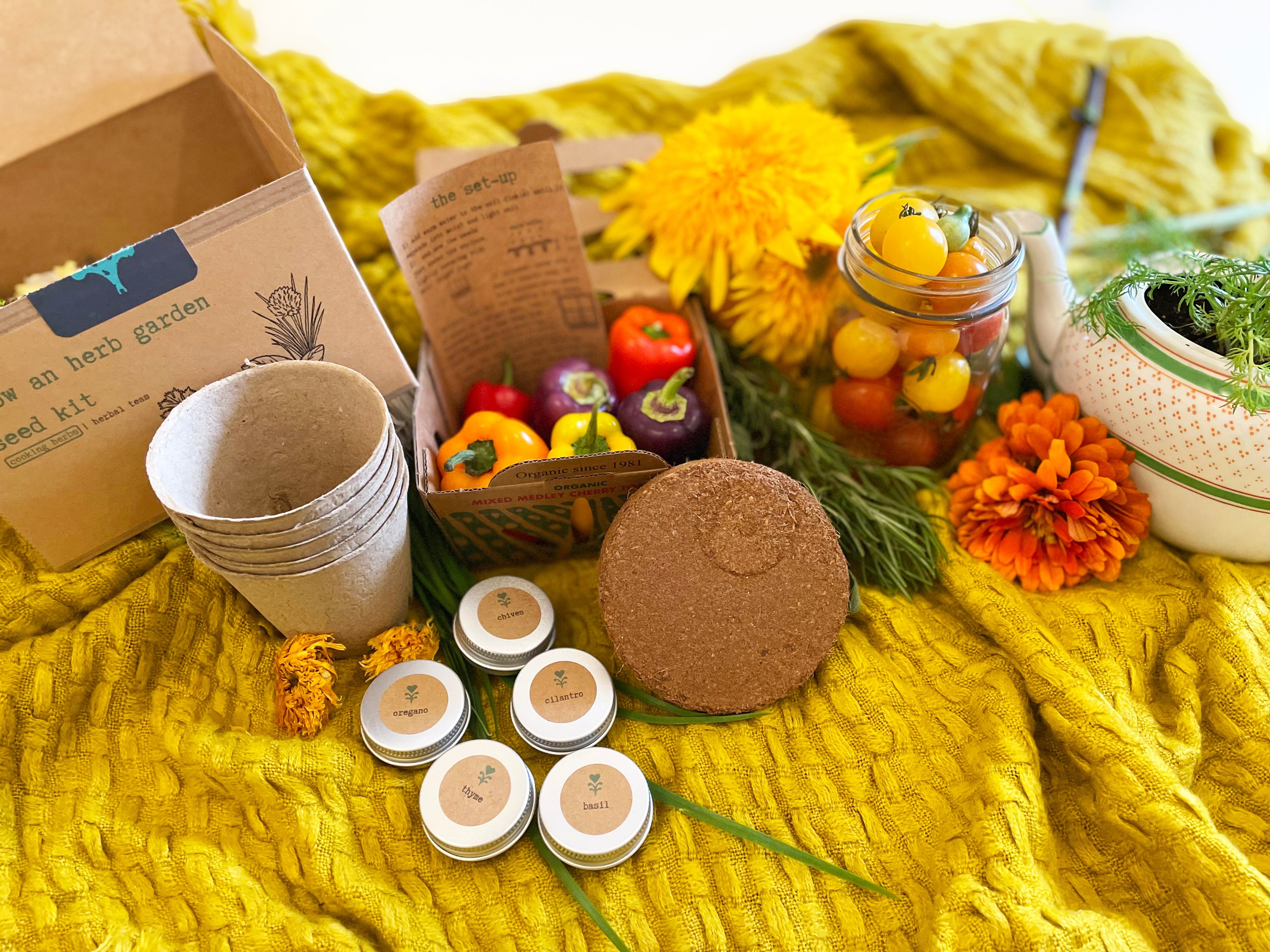 Cooking Herbs Growing Kit w. Planters, Soil Pod & Organic Non-GMO, US-grown Heirloom Herbs: Basil, Oregano, Thyme, Chives, Cilantro (Get Growing)