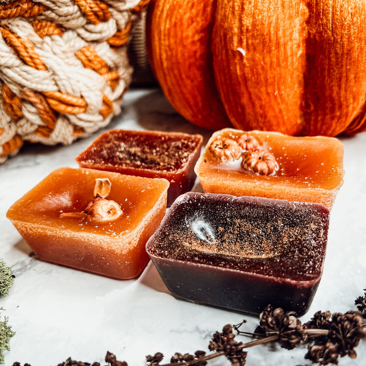 Fall Harvest Natural XL Wax Melts Pack Pumpkin Cranberry Clove Cozy Autumn Scented 4 Extra Large Cubes