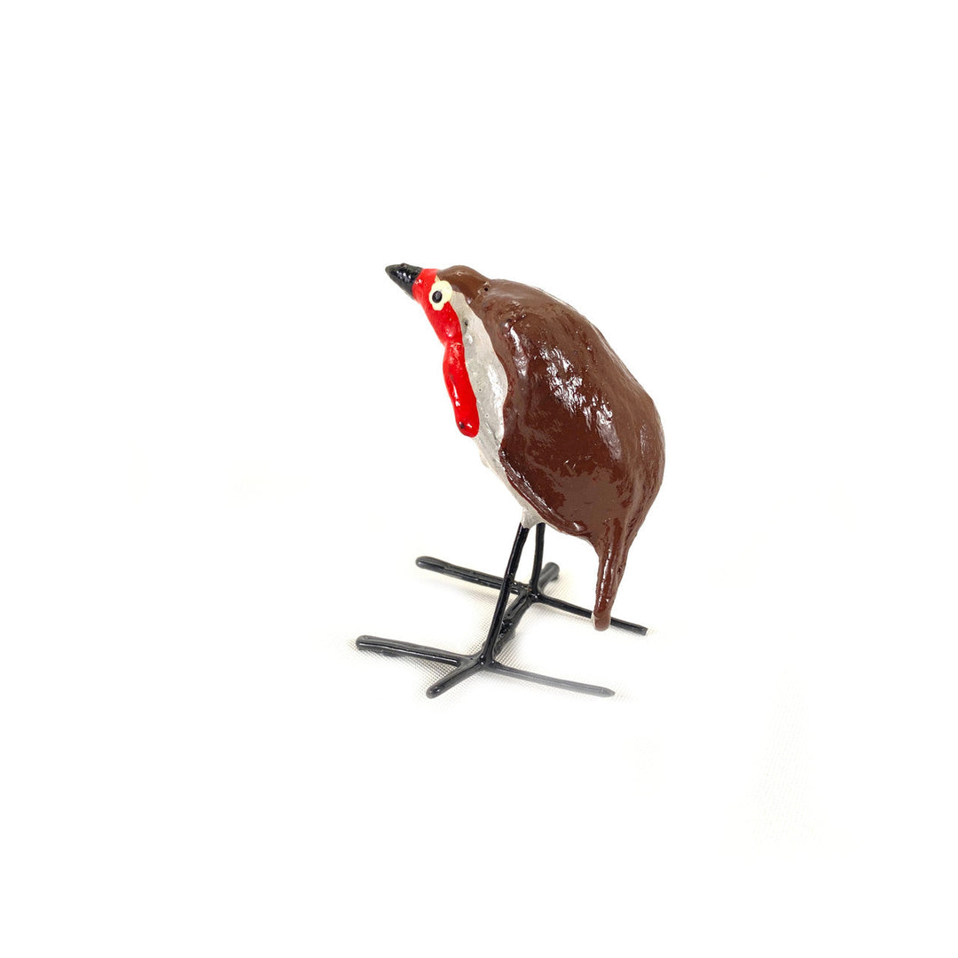 Seedpod Robin