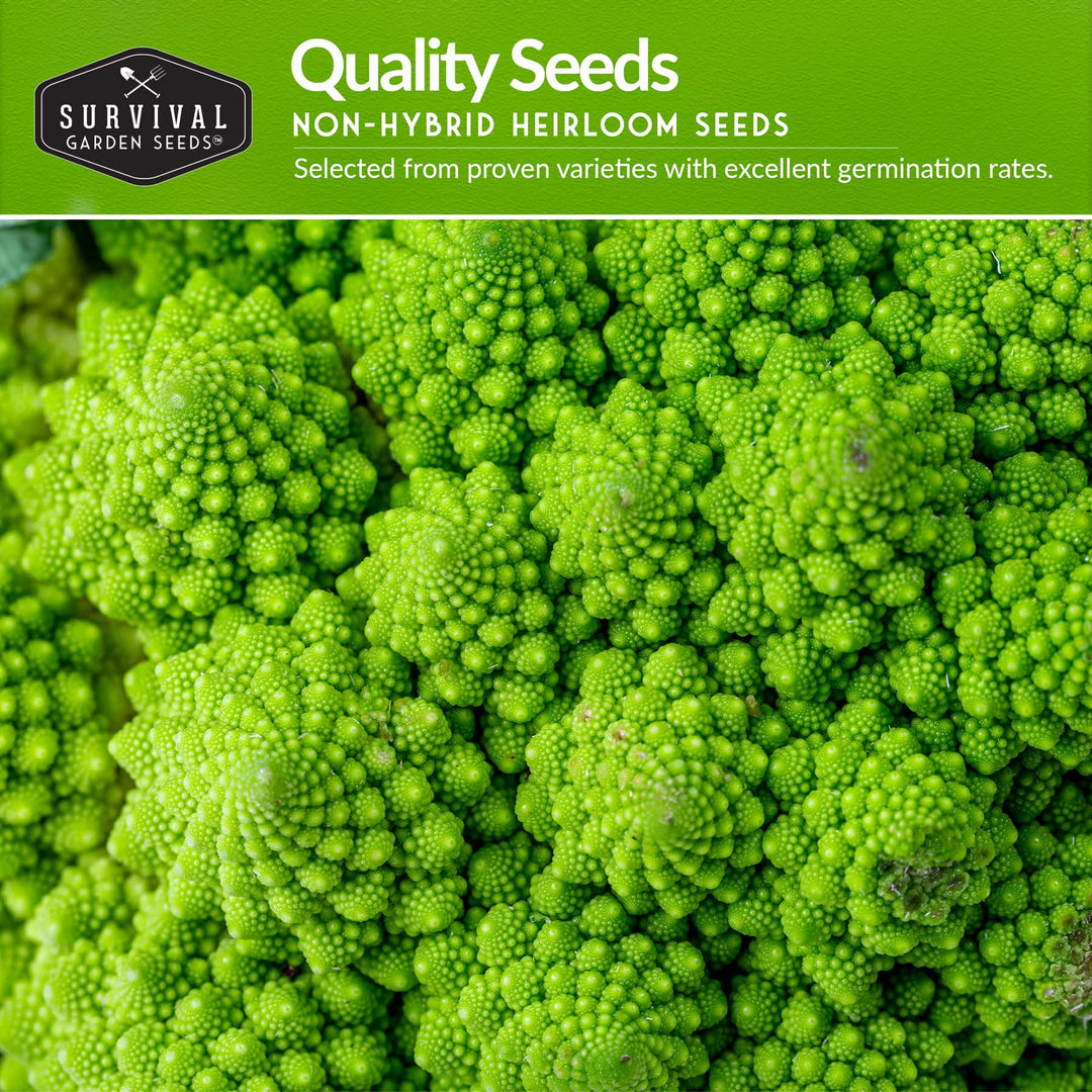 Italian Seed Collection – Classic Heirloom Vegetables for Authentic Flavor and Productive Home Gardens