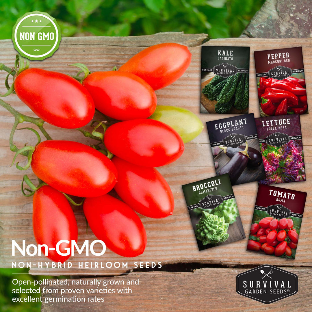 Italian Seed Collection – Classic Heirloom Vegetables for Authentic Flavor and Productive Home Gardens