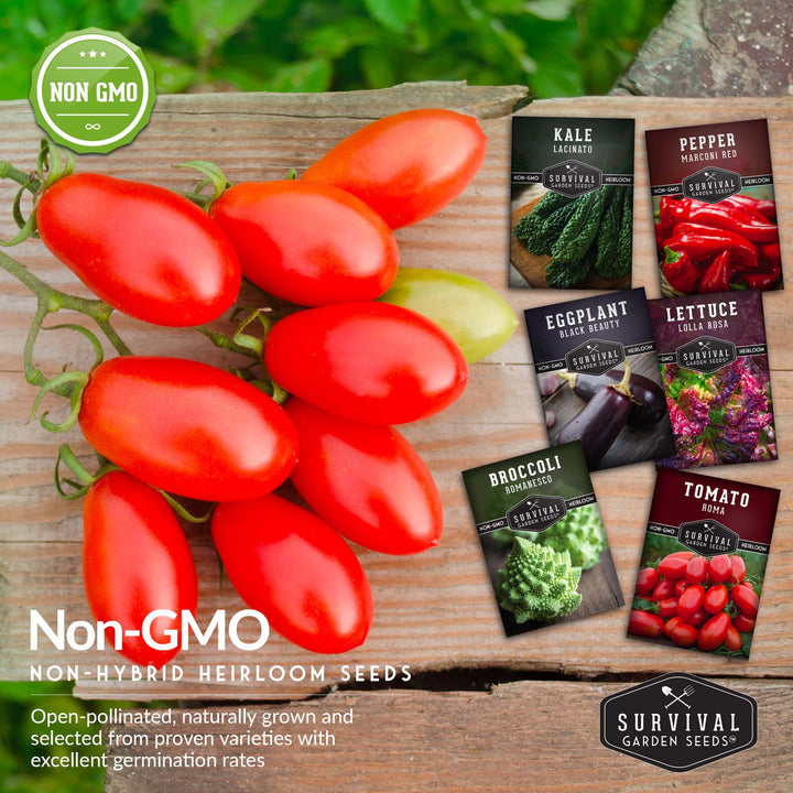 Italian Seed Collection – Classic Heirloom Vegetables for Authentic Flavor and Productive Home Gardens