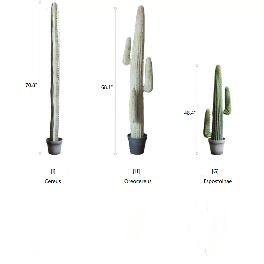 Artificial Cactus in Pot Various Styles