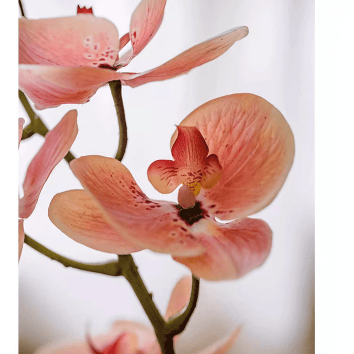 Artificial Butterfly Orchid Stem in Pink 27.5" Tall