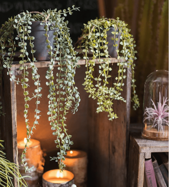 Hanging Faux Ceropegia Vine in Pot