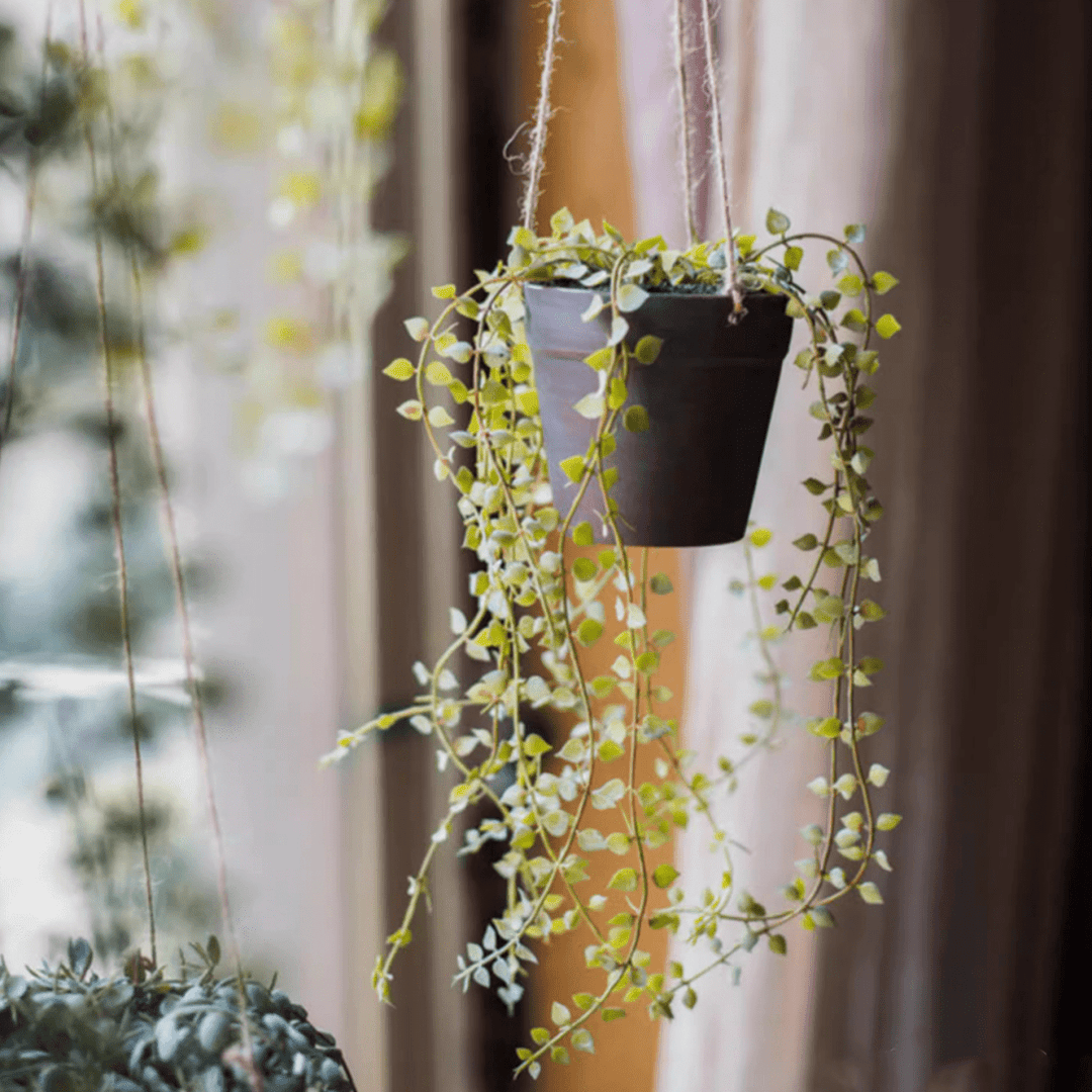 Hanging Faux Ceropegia Vine in Pot