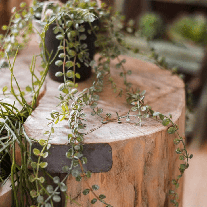 Hanging Faux Ceropegia Vine in Pot
