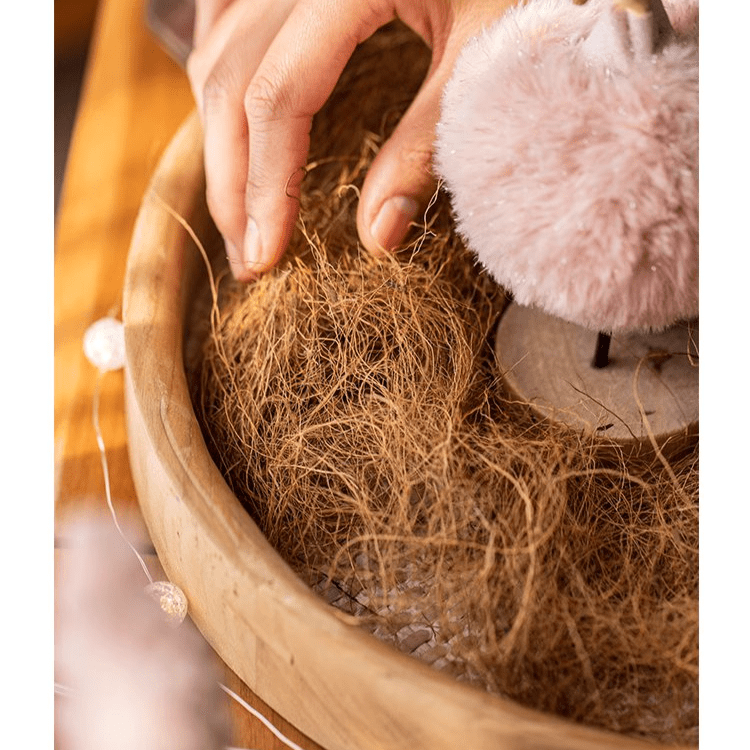 Coconut Fiber Pot Soil Surface Decoration Padding Material Set of 3