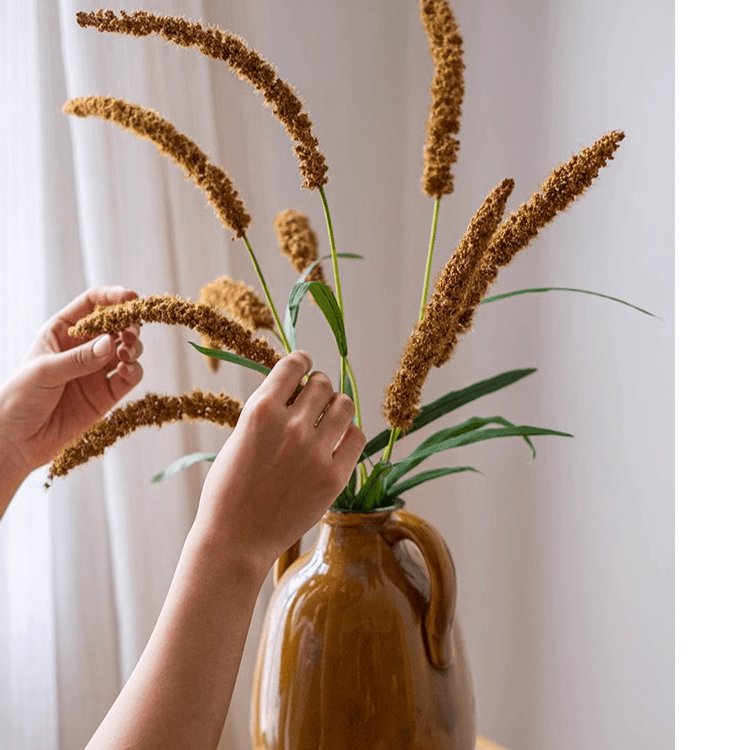 Three-Headed Dogtail Grass Stem 39" Tall