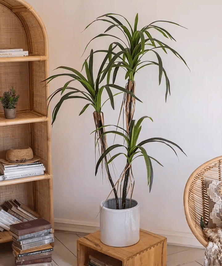 Artificial Dracaena Tree