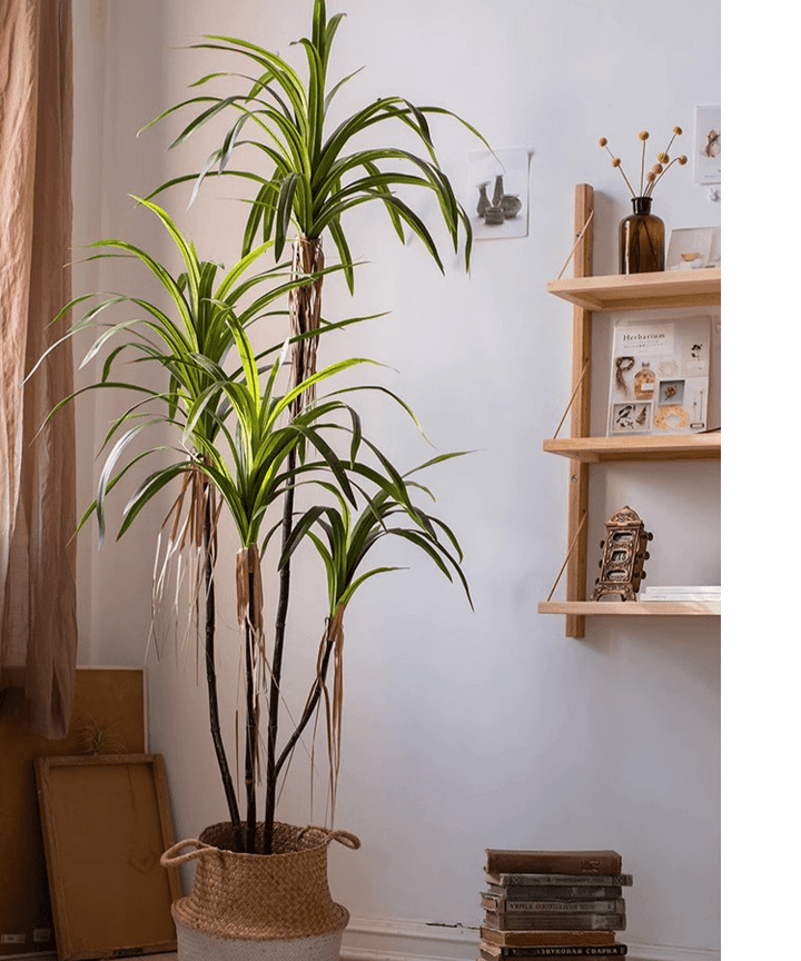 Artificial Dracaena Tree