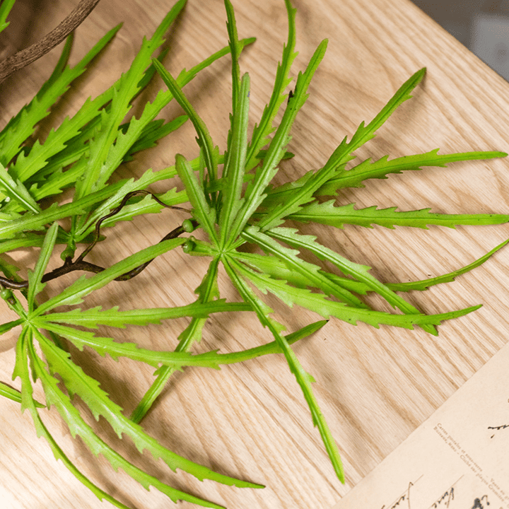 Artificial Ferns Vine Stem 39" Long
