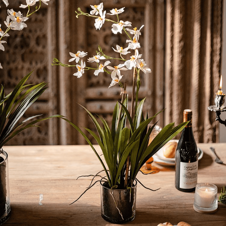 White Hui Lan Orchid in Glass Pot