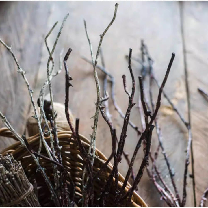 Ikebana Twig Branch