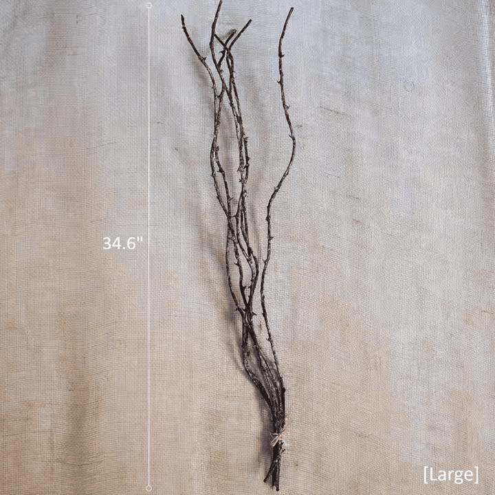 Ikebana Twig Branch