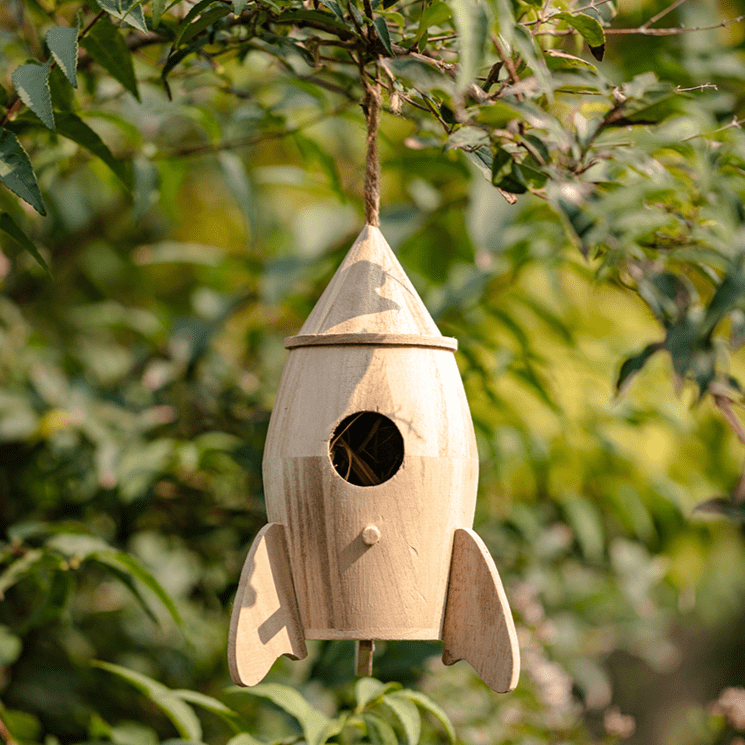 Natural Solid Wood Bird&