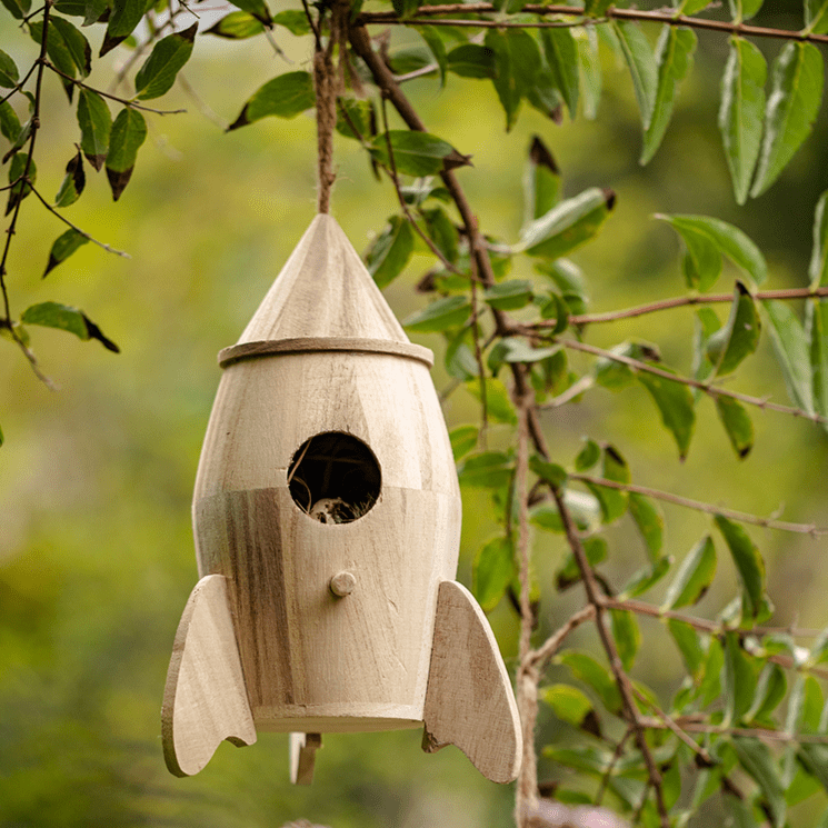 Natural Solid Wood Bird&