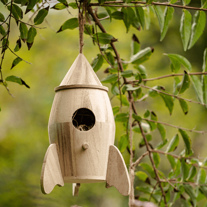 Natural Solid Wood Bird&