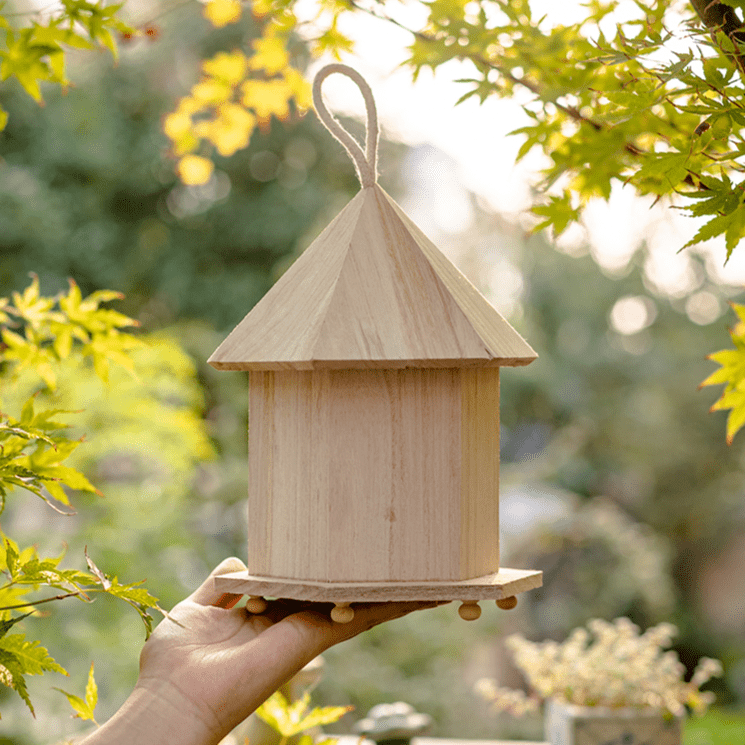 Natural Solid Wood Bird&
