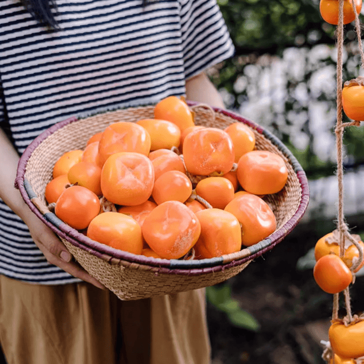 Artificial Persimmon Fruit String Decor 33.8" Long