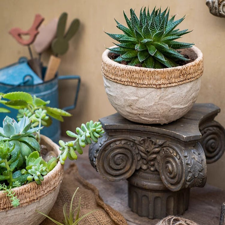 Rattan Pattern Edge Cement Planter
