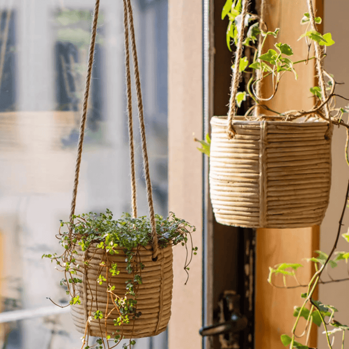 Faux Rattan Cement Hanging Planter