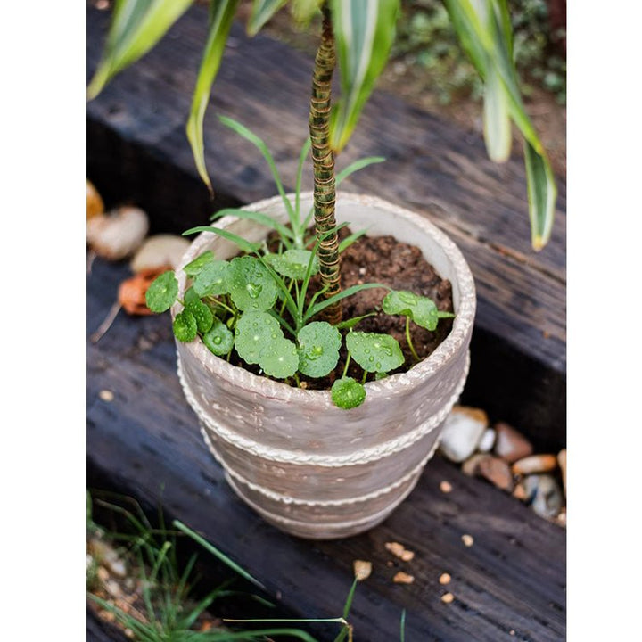 Tasha Red Terracotta Planter